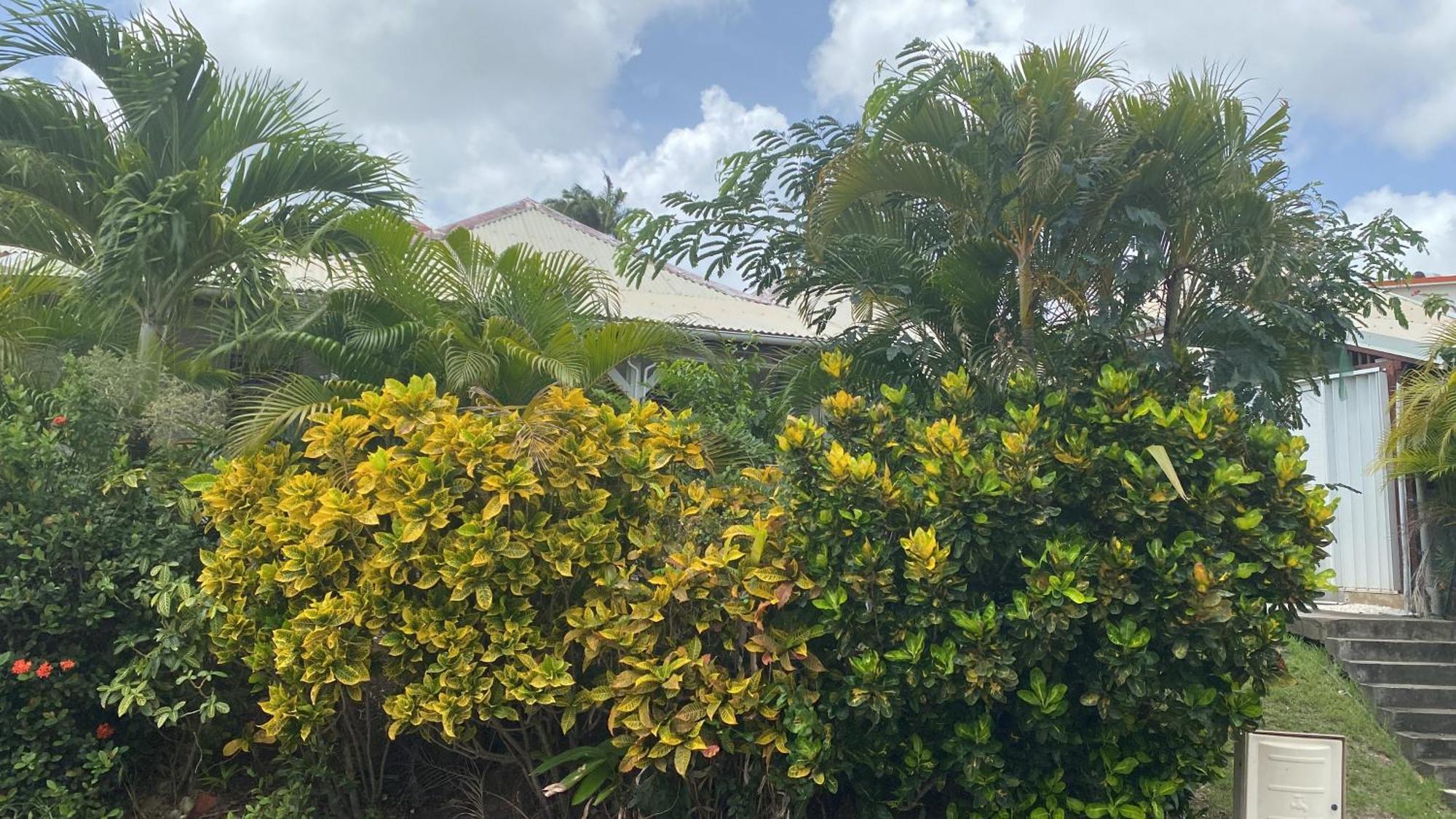 Bungalow Belfond Plage Pointe Marin Sainte-Anne Εξωτερικό φωτογραφία